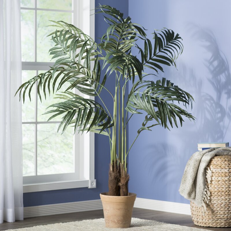 Beachcrest Home Big Palm Tree in Pot & Reviews Wayfair